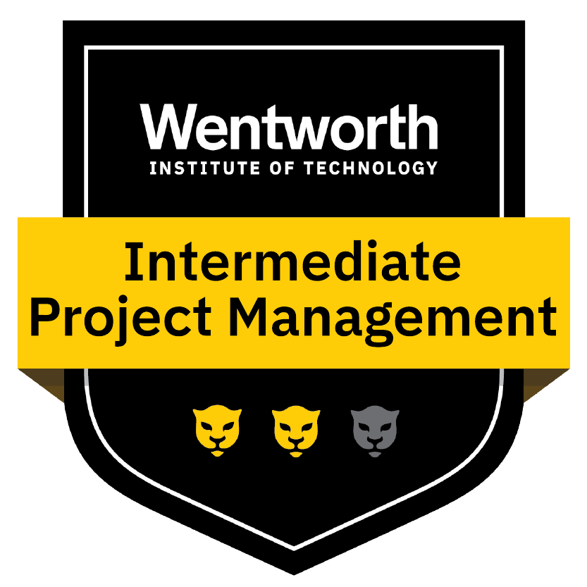 Intermediate Project Management Badge